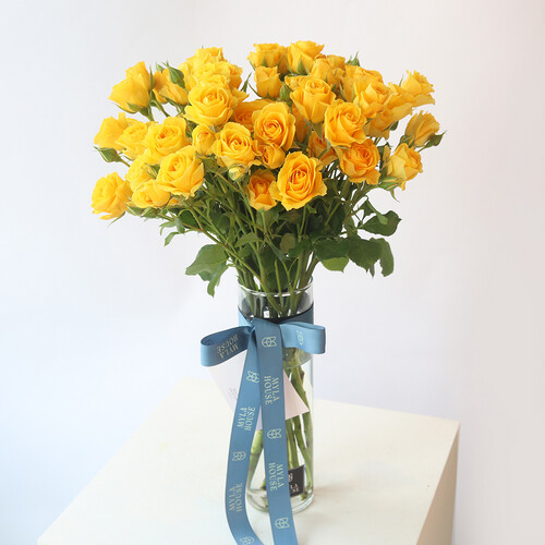 أصفر كلاسيكي - رقم 3099