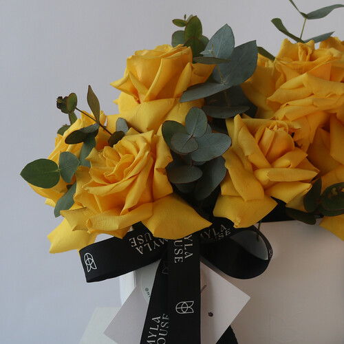 سحابة صفراء - رقم 3101