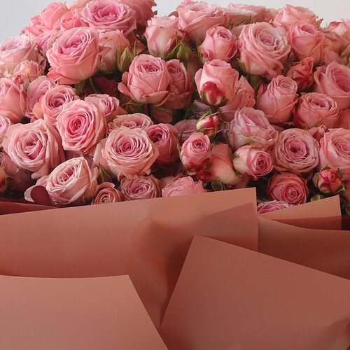 وردي ملكي - رقم 3107