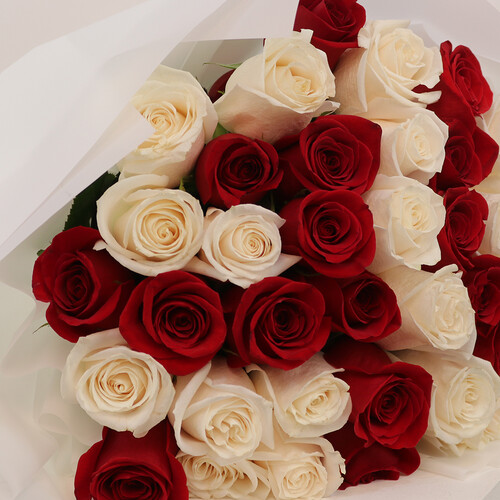 كلاسيك مختلط - رقم 3109