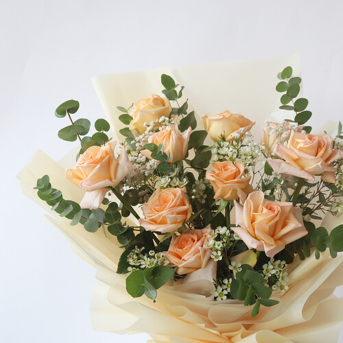 دفء خوخي - رقم 3124