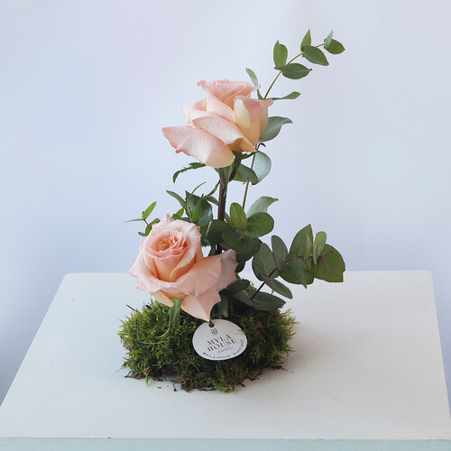 همسة خوخية - رقم 3125