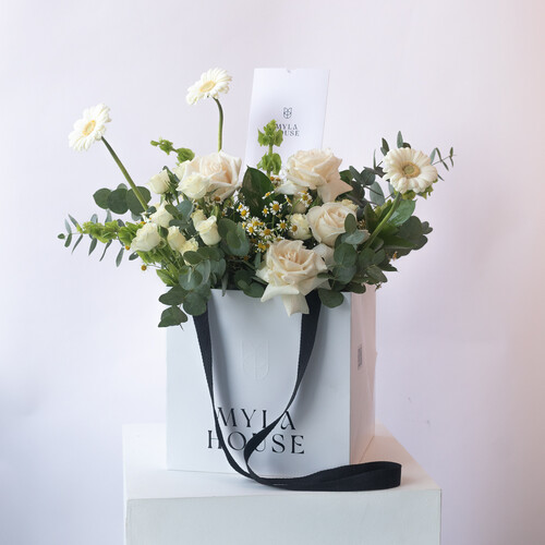 نغمة طبيعية - رقم 3138