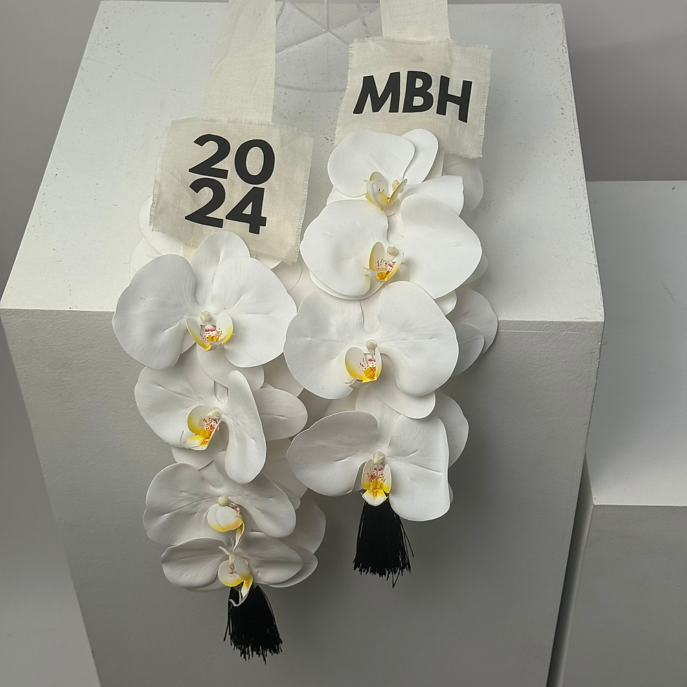 أوركيد التخرج - رقم 2277