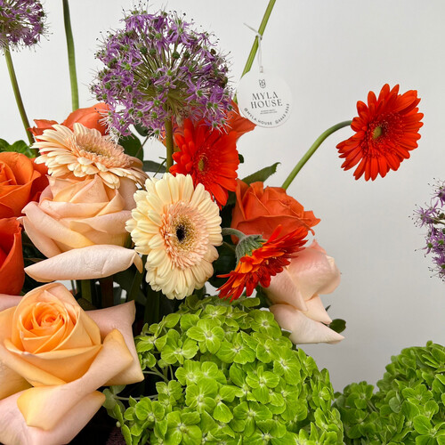 وهج خريفي - رقم 2117