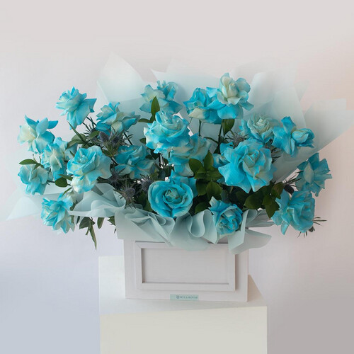 ظلال زرقاء - رقم 3087