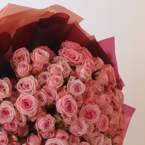 وردي ملكي - رقم 3107