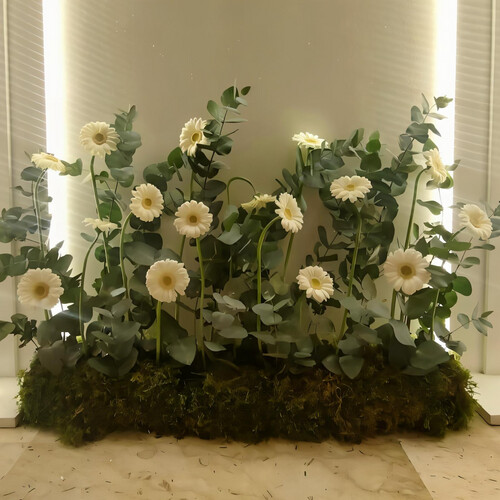 بهجة الاستقبال - رقم 2068