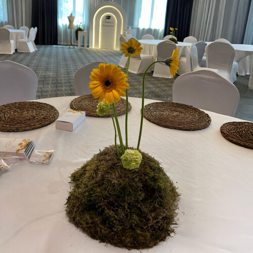 أقواس تخرج أنيقة بالورد الأصفر - رقم 2079