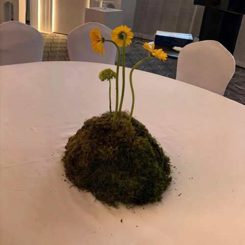 أقواس تخرج أنيقة بالورد الأصفر - رقم 2079