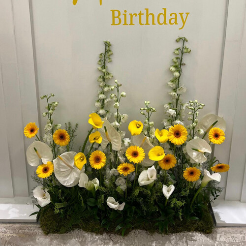 بهجة مضيئة - رقم 2071