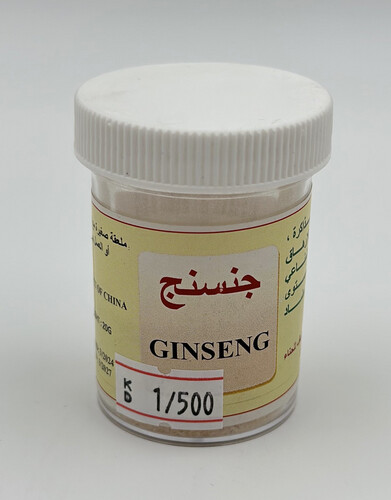 جنسنج