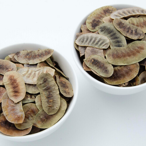 بذر عشرج