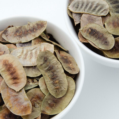 بذر  عشرج