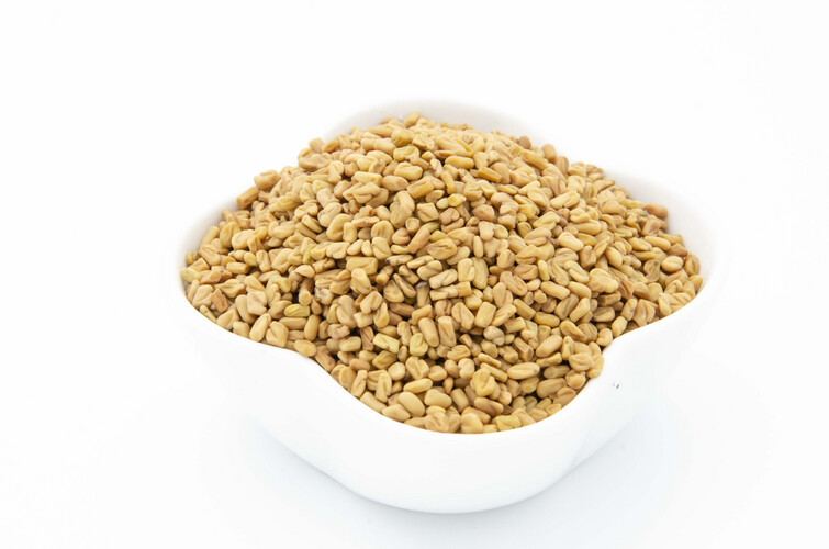 حلبة