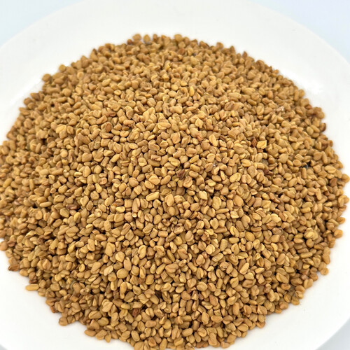 حلبة نجدي