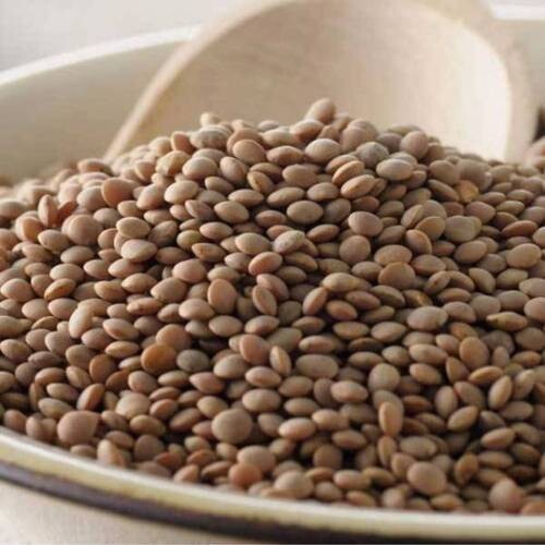 عدس كشري 800 جم 2 حبة