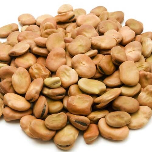 فول حب 800 جم 2 حبة