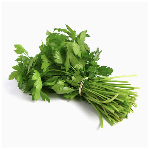 coriander