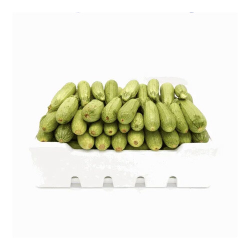 Jumbo Zucchini Tray