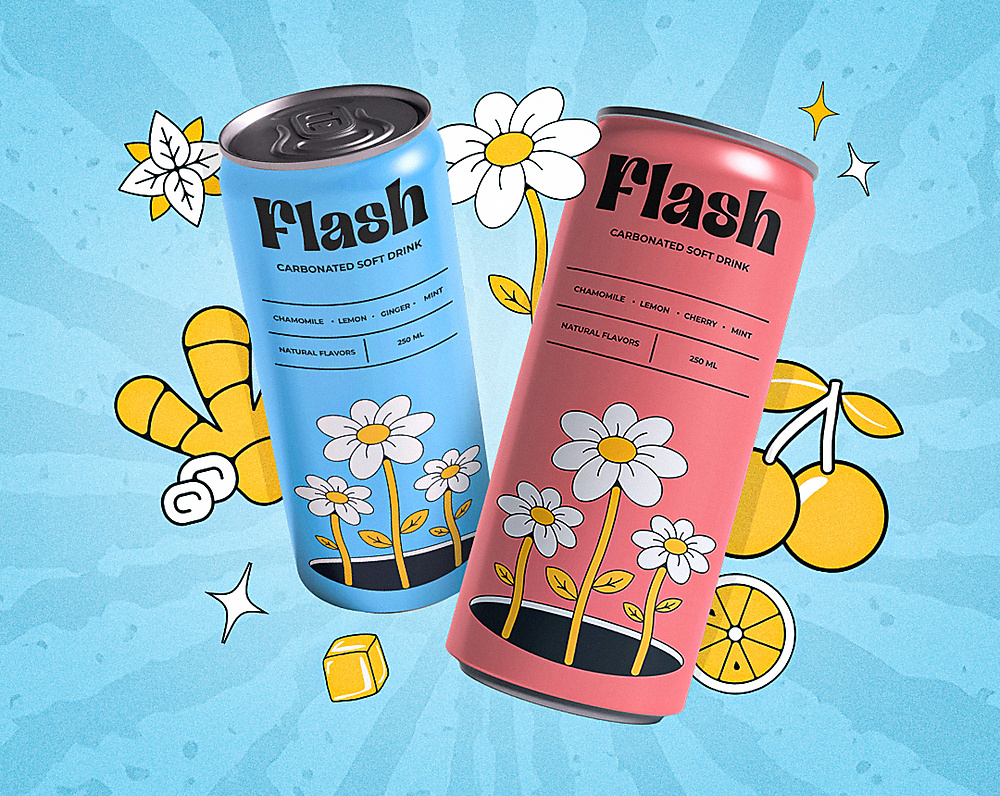 Flash 24 pieces 250 ml