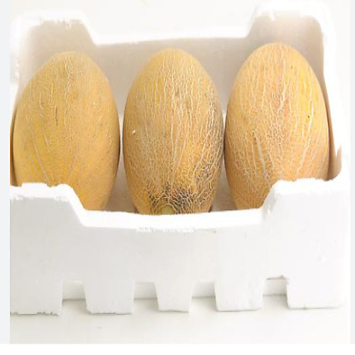 Sweet Melon Foam Box