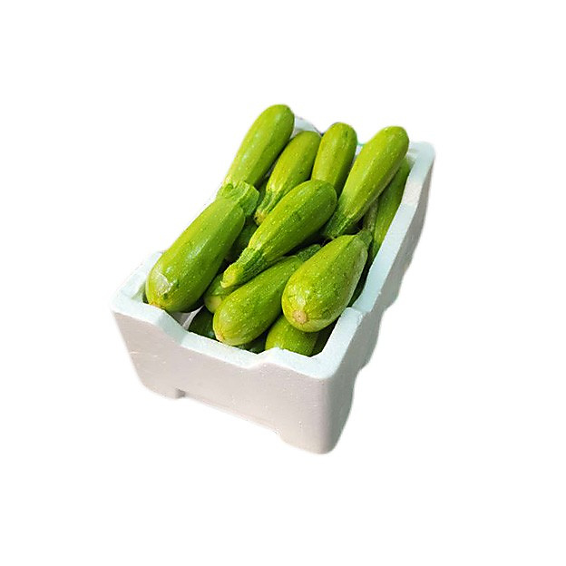Styrofoam zucchini