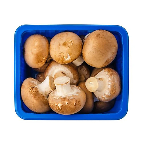 Mushroom
