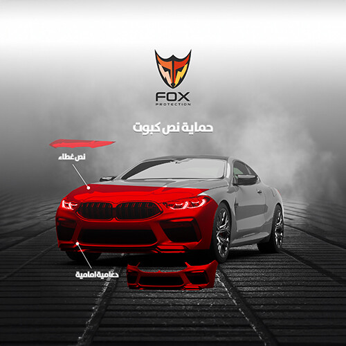 حمايه نص كبوت