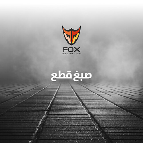صبغ قطع