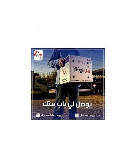 (Large size 60/70) Fresh Kuwaiti Eggs 6 Trays