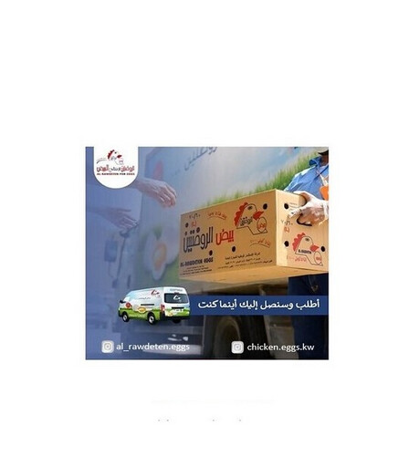 (Large size 60/70) Fresh Kuwaiti Eggs 12 Trays