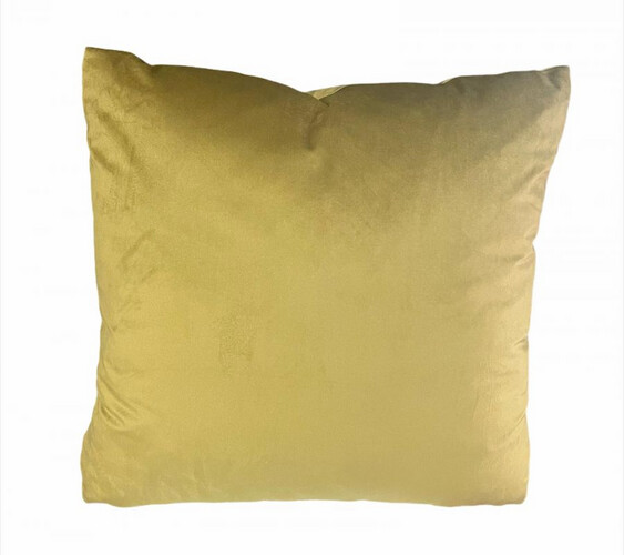 cushion