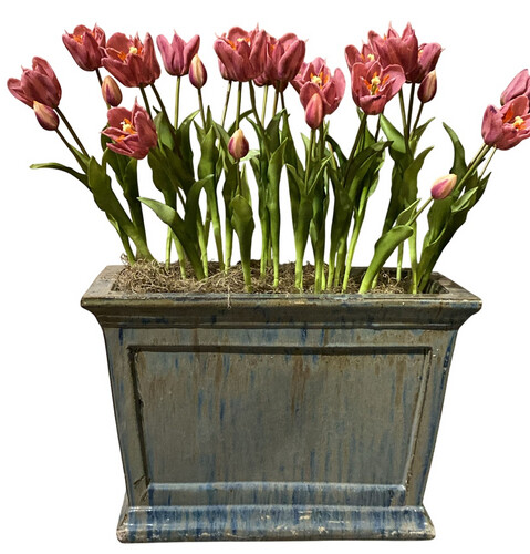 Tulip Flowers in Big Pot