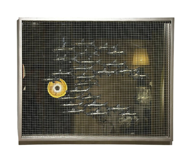 Group of Fishes Frame in Net and Mirror