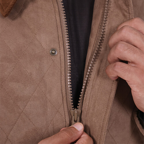 Suhail 1, camel brown