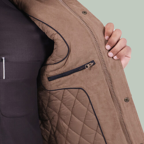 Suhail 1, camel brown