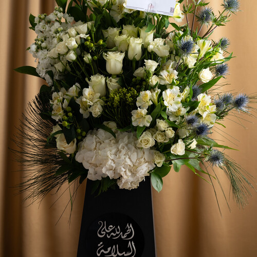 Special design  1