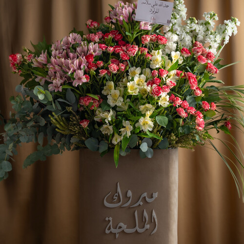 Special design  3