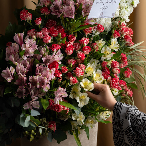 Special design  3