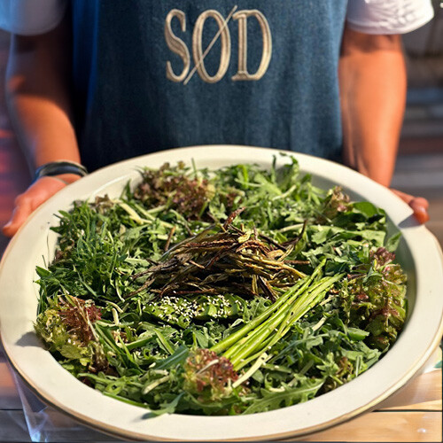 سلطة البامية