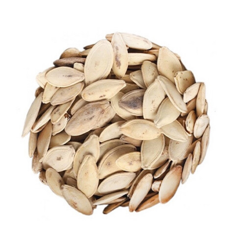 Salty Zucchini Seeds