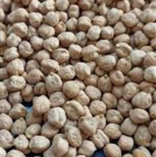 Iranian Chickpeas