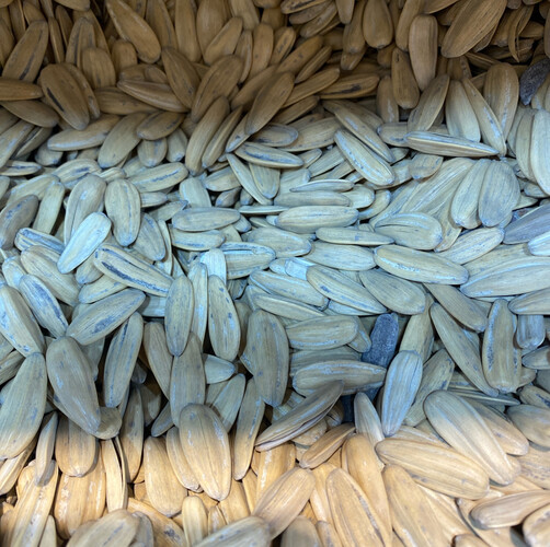 Sunflower Seeds with Anise
