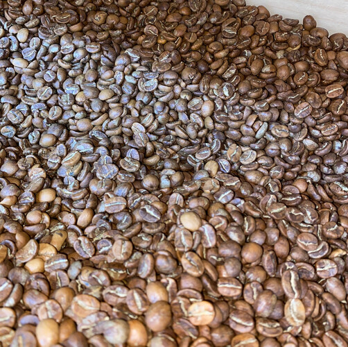 AAA Arabica Coffee Roast No. 2.5