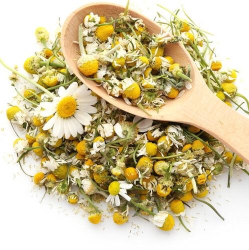 Chamomile