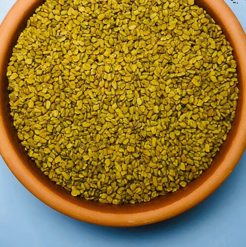 Indian fenugreek