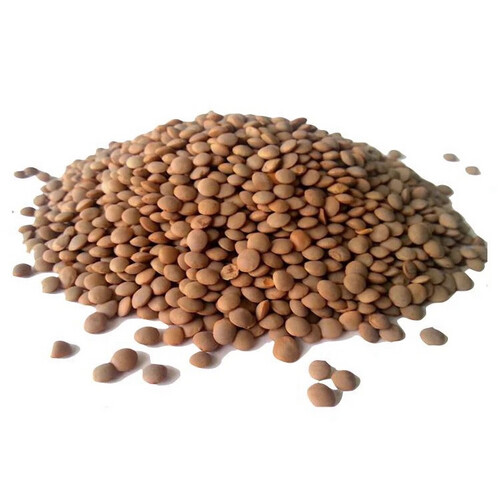 Brown Lentils