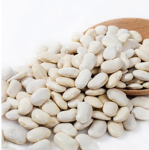 Broad White Beans