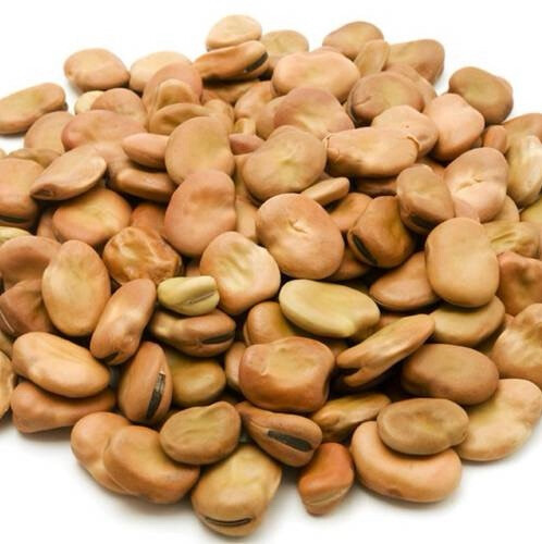 Egyptian Beans